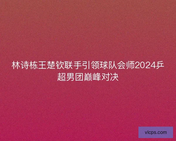 林诗栋王楚钦联手引领球队会师2024乒超男团巅峰对决